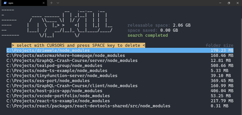 How to Delete Node Modules Folder With npkill