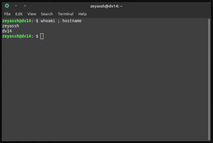 How to Run Multiple Commands in Linux at Once
