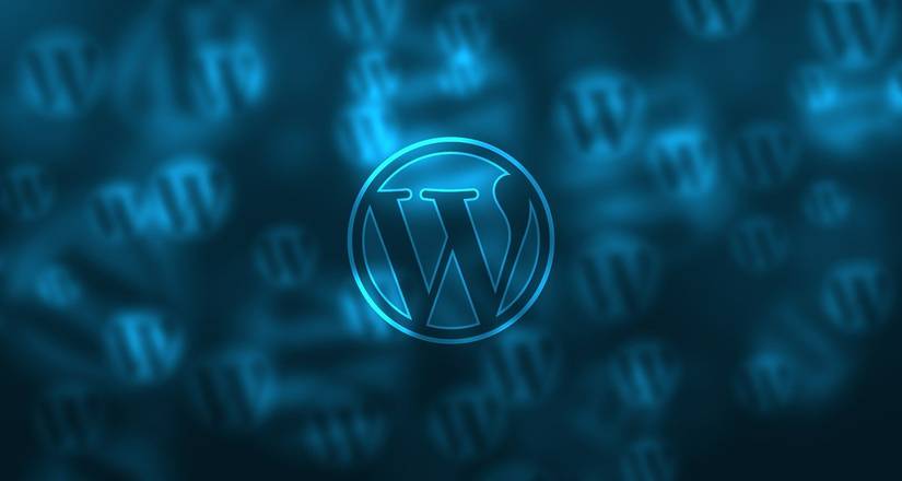 Illustration of the WP logo