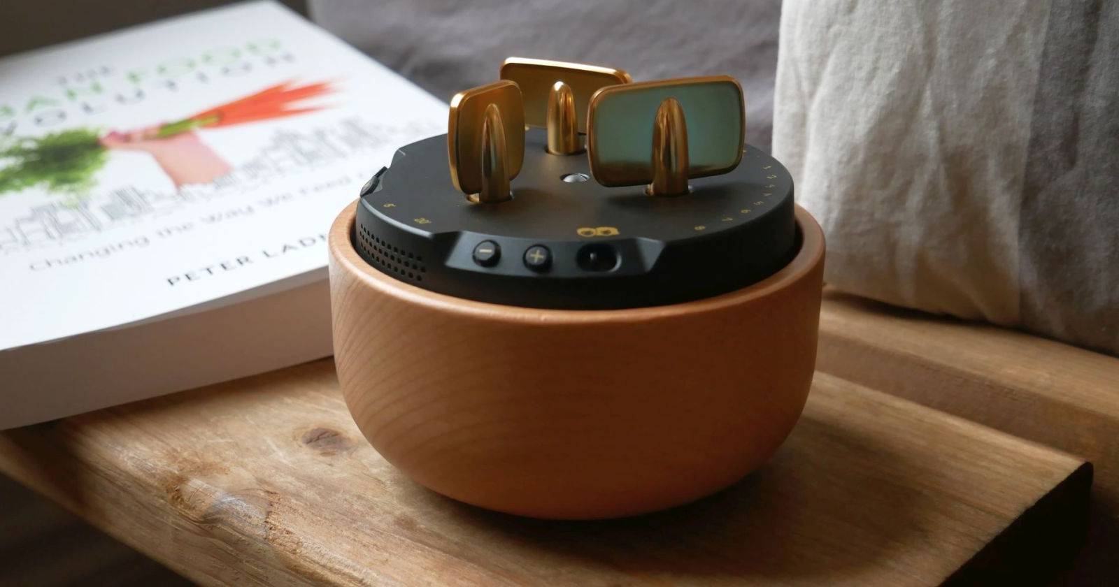 Morphee Review: A Screen-Free Sleep and Meditation Companion