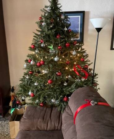 Photos App Apple Watch