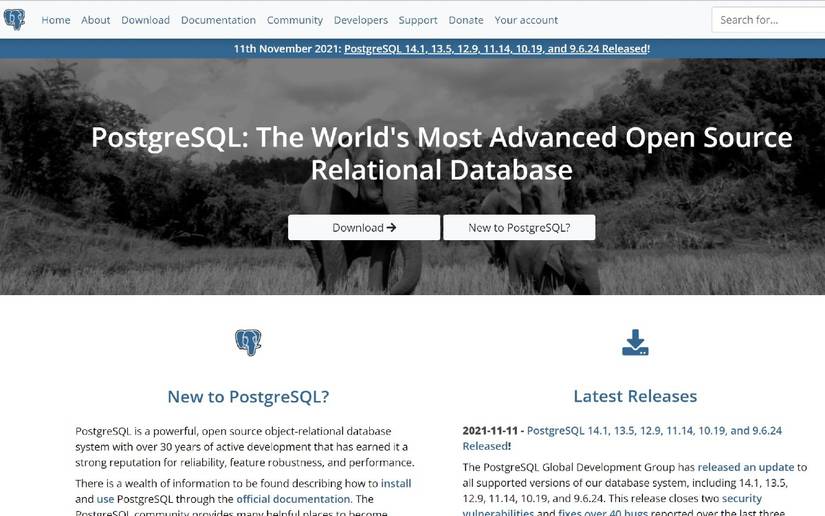 PostgreSQL vs. MySQL: Understanding the Database Tools