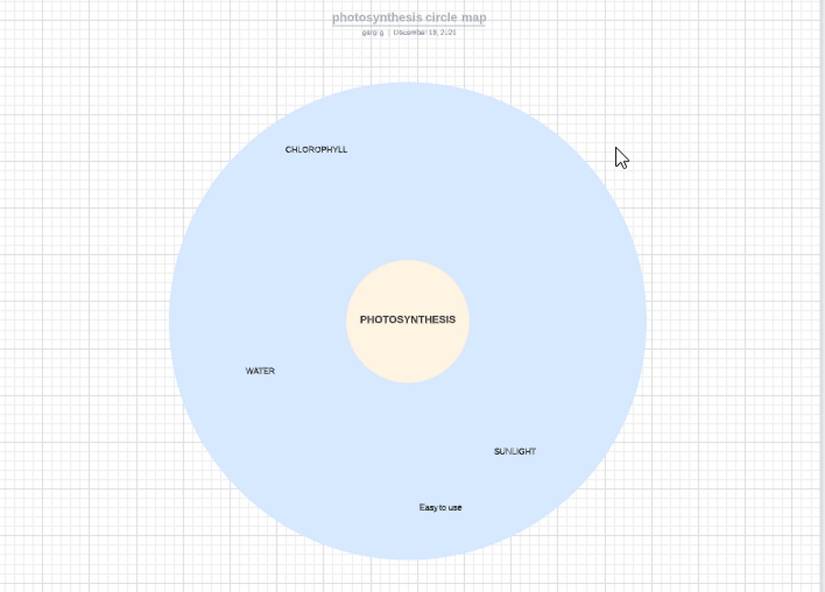 8 Types of Mind Maps You Need to Know About