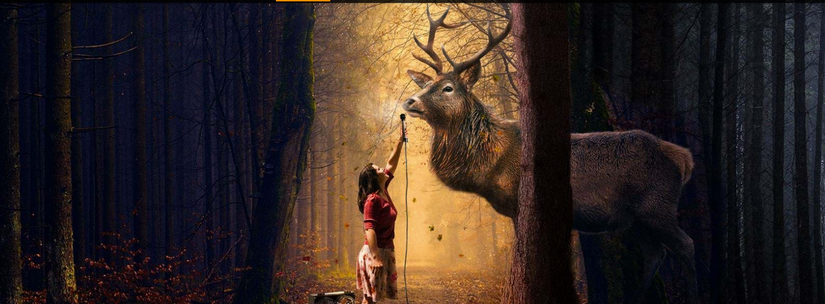 Hindenburg, software to record podcast recordings.