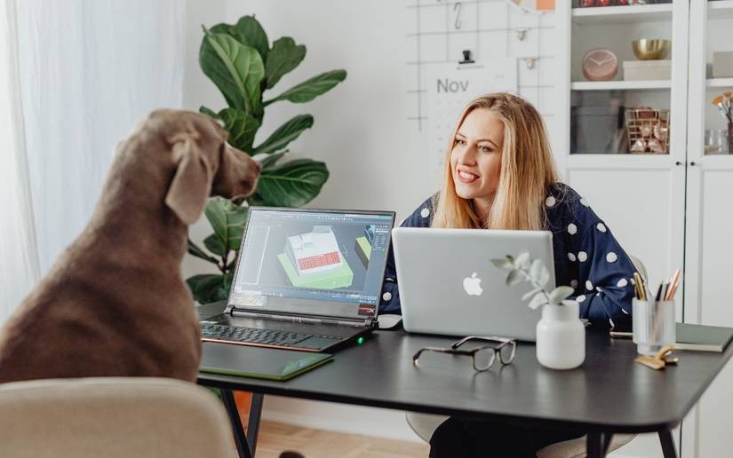 Become a Smarter Pet Owner With These Gadgets