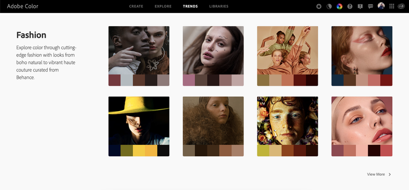 What Is Adobe Color? Why Every Visual Artist Should Use It