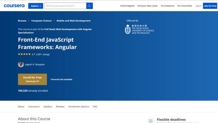 Top 8 Angular Courses for Beginners and Advanced Users
