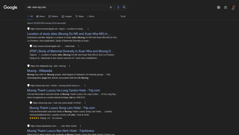 How to Find Out When Google First Indexed a Website