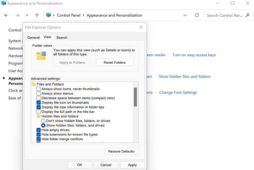 How to Show Hidden Files and Folders on Windows 11