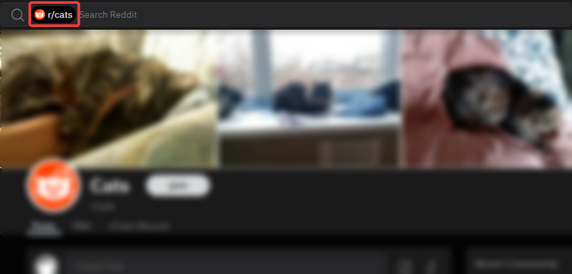 Screenshot showing a search on the new Reddit website with the subreddit appearing in the search bar.
