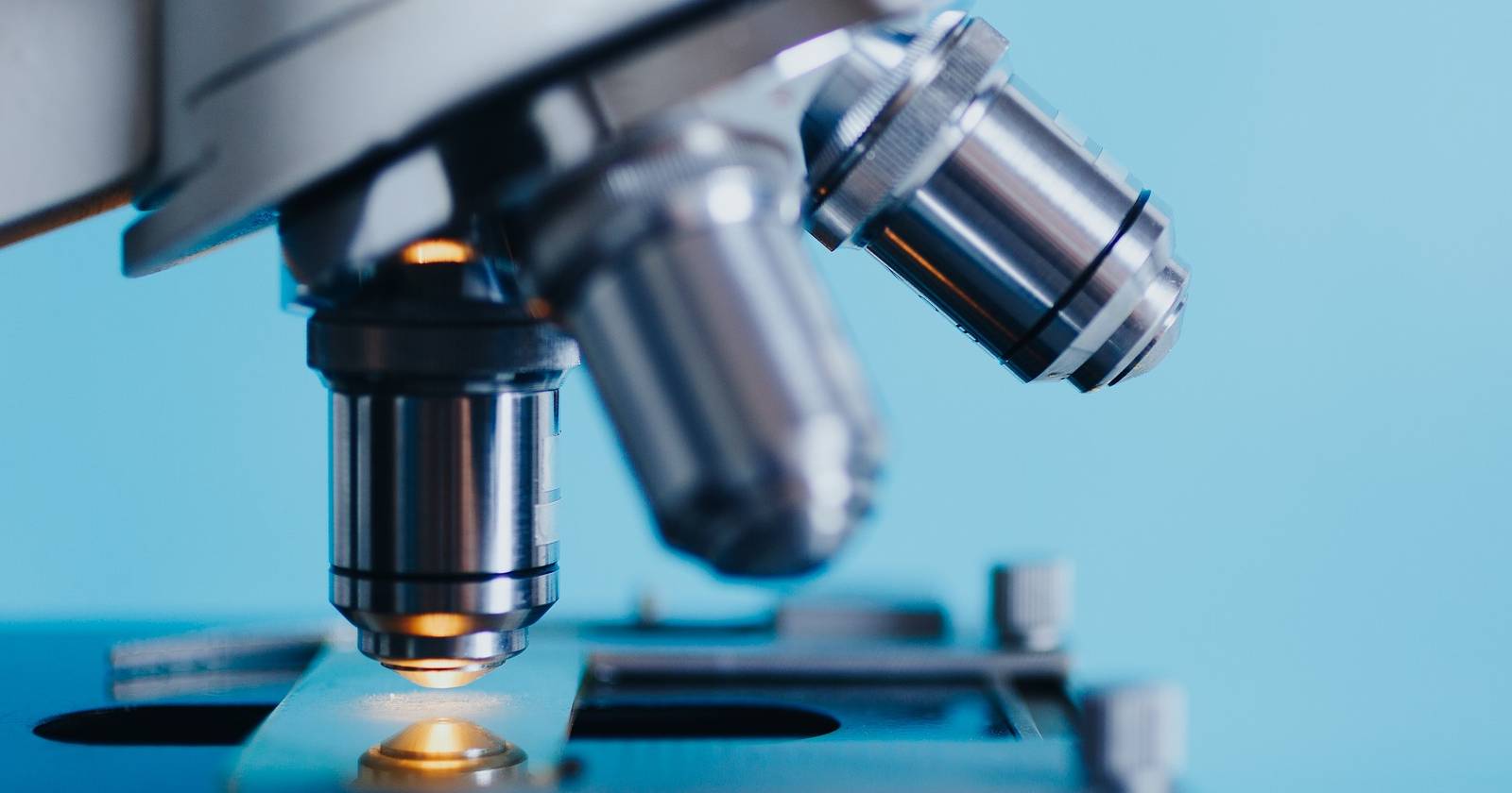 Which Beginner Microscope Should You Buy? Mobile vs. USB vs. Digital vs ...
