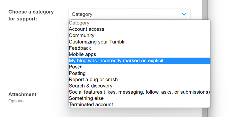 What to Do if Your Blog Is Flagged on Tumblr