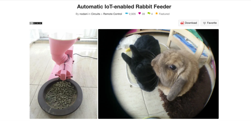 The 7 Best DIY Automatic Pet Feeders