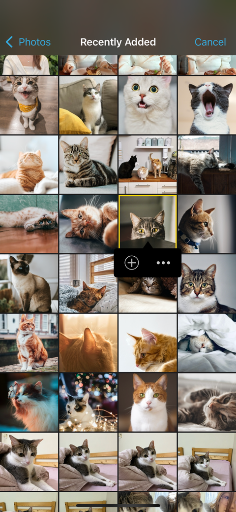 add photo into iphone imovie project
