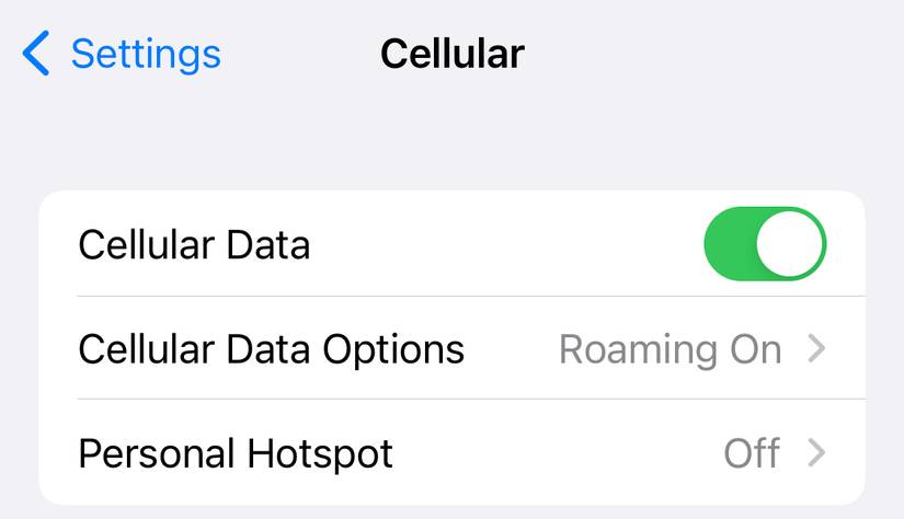 cellular data on