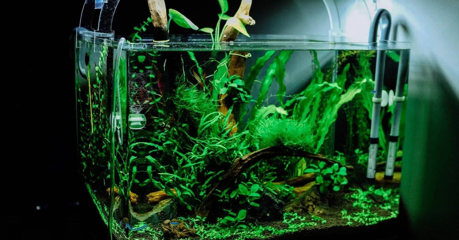 Creating DIY Aquarium Lighting With Arduino