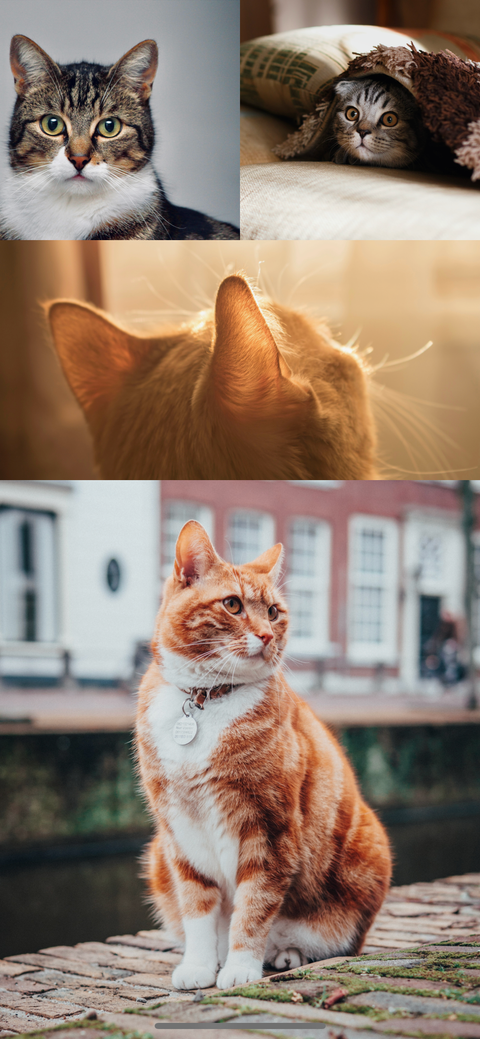 make a slideshow on iphone