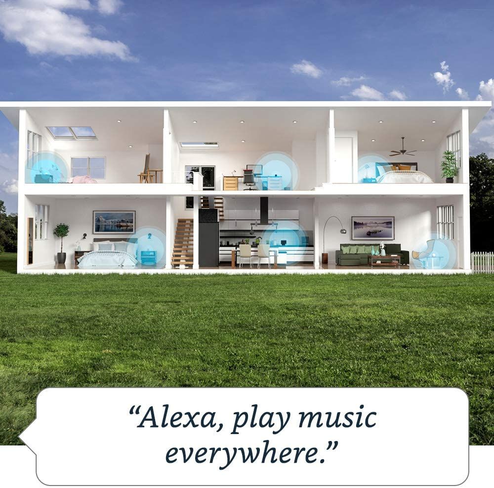 Amazon Echo Dot (4th Gen) Home