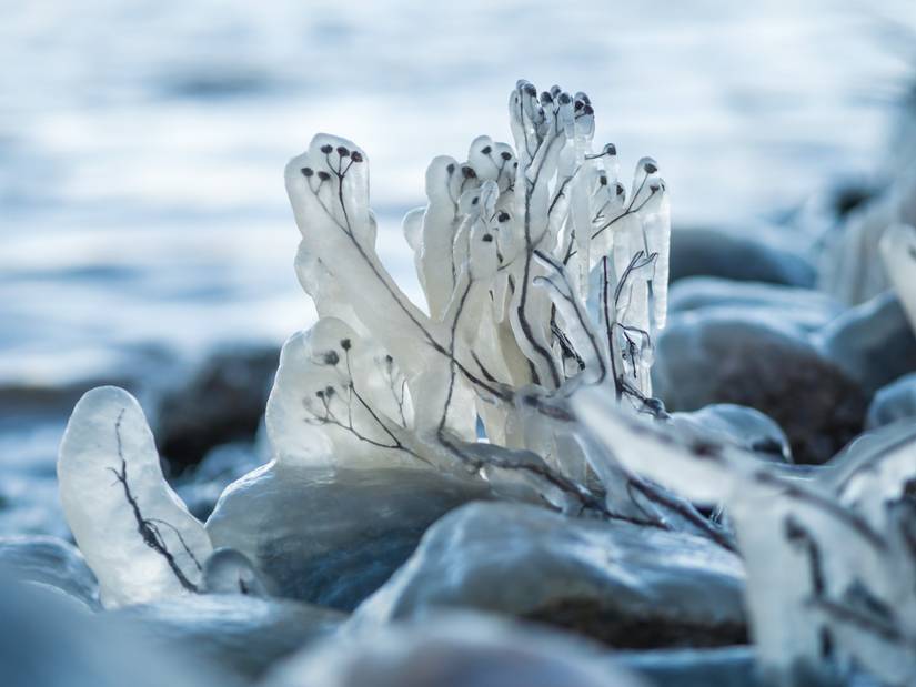 Winter Photography: 8 Ideas for Unique Shots in the Cold