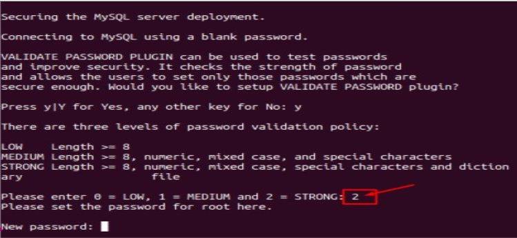 How to Install and Configure MySQL on Ubuntu