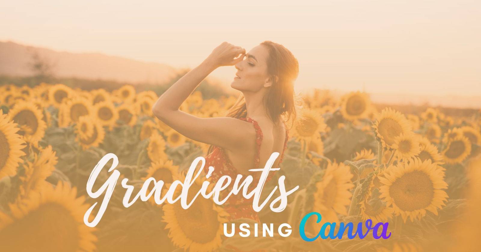 How to Apply a Transparent Gradient to an Image in Canva: 2 Ways