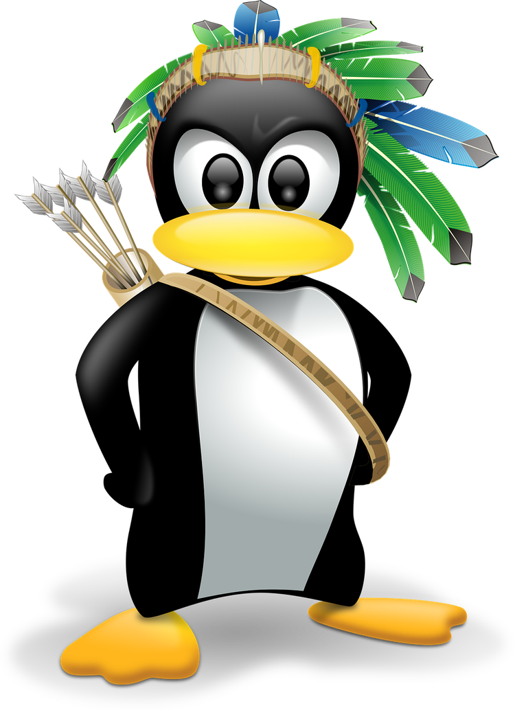 Penguin Linux Why Is the Linux Logo a Penguin? The Story Behind Tux