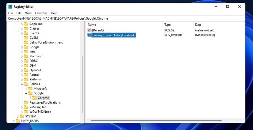 The SavingBrowsingHistory DWORD 