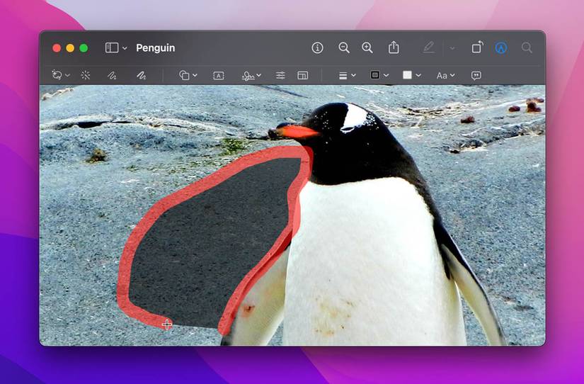 4 Ways to Remove the Background From Images Using Preview