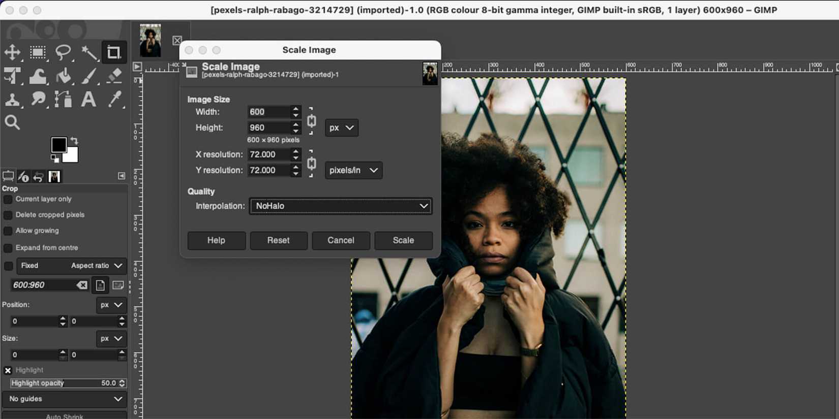How to Upscale an Image Without Losing Quality: 6 Ways