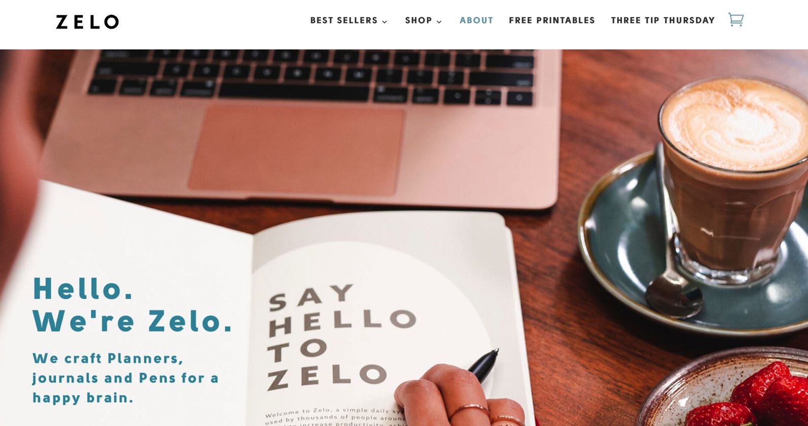 Screenshot of Zelo journal website