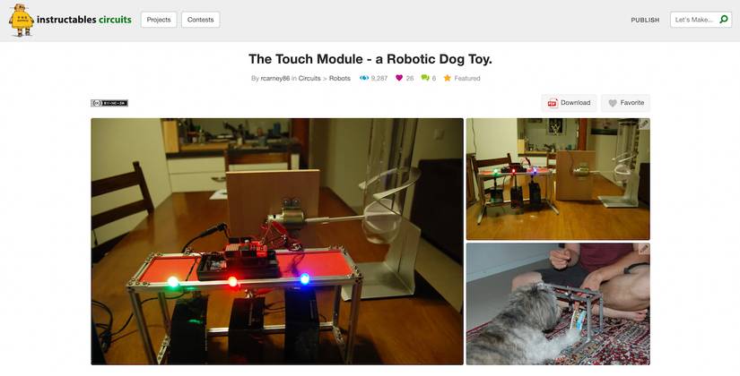 10 Awesome DIY Projects Every Pet Owner Would Love to Try