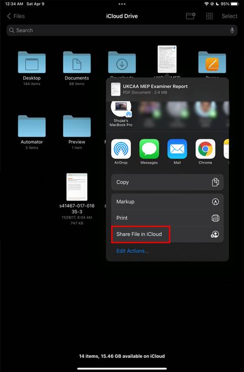 Share File to iCloud