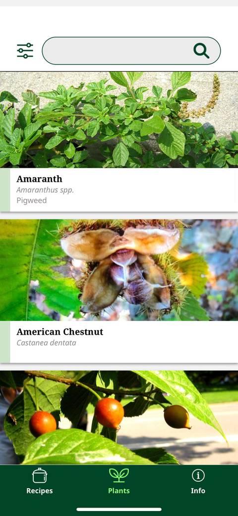 The Best Wild Foraging Resources to Help Expand Your Palate