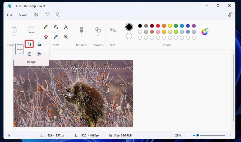 6 Ways to Compress Image Files in Windows 11 and 10