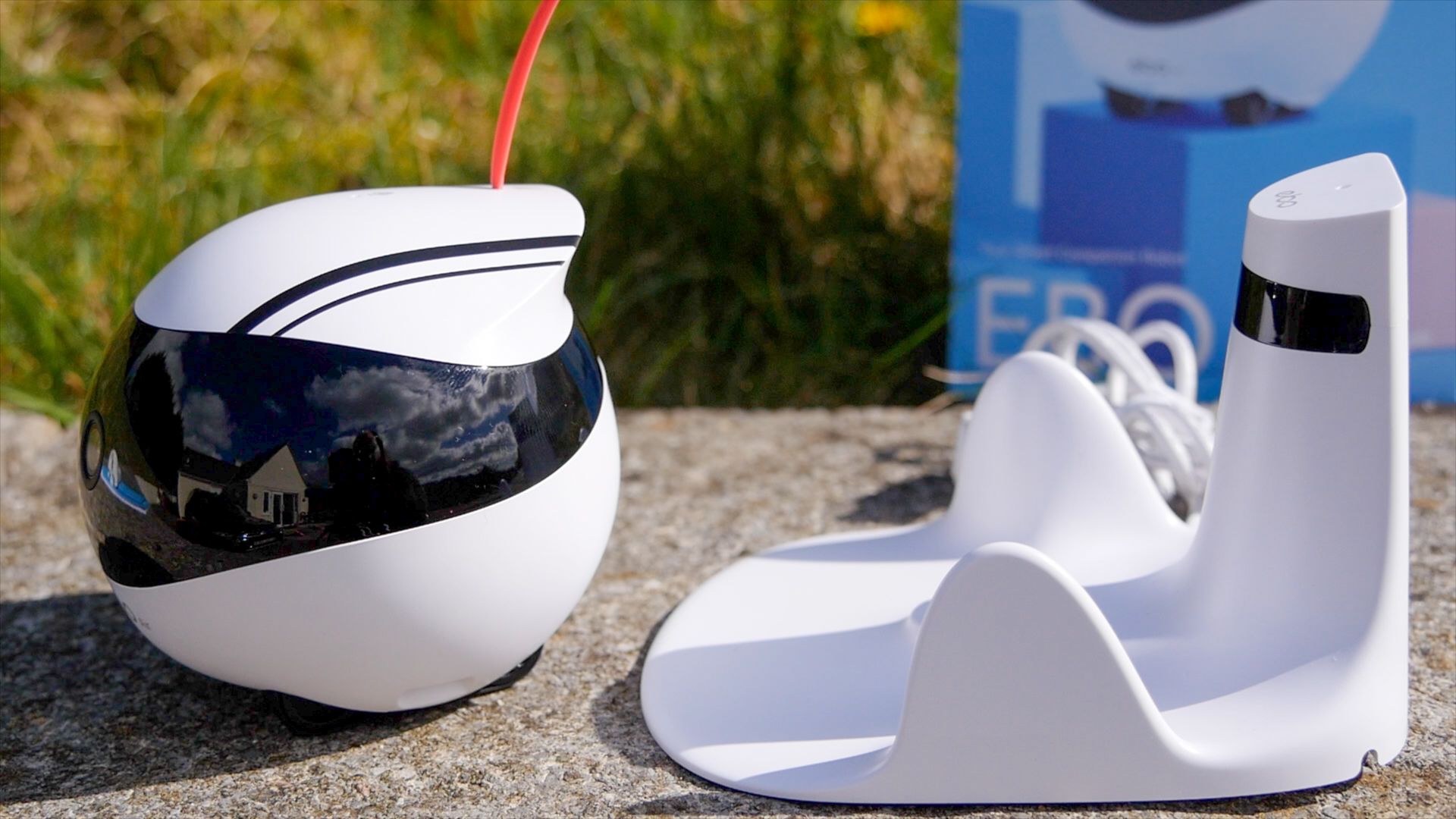 Enabot Ebo Pro Review: A Wobbly Robotic Toy for Your Cat