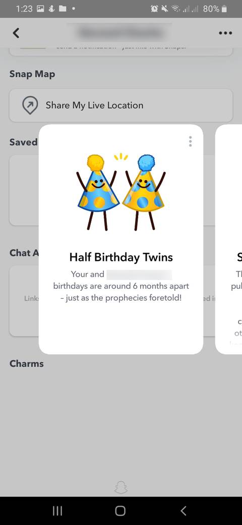 half birthday twins on snapchat
