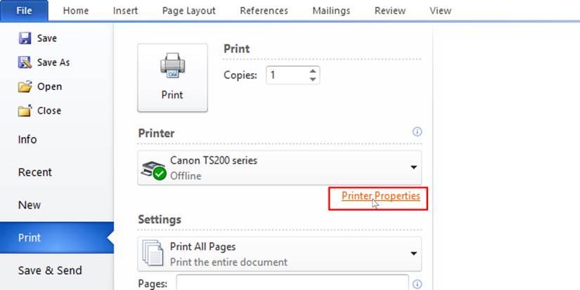 MS Word printer properties