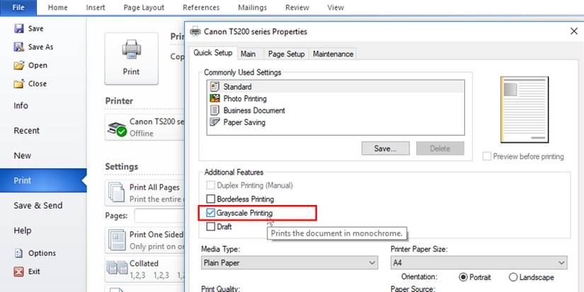 Grayscale printing option