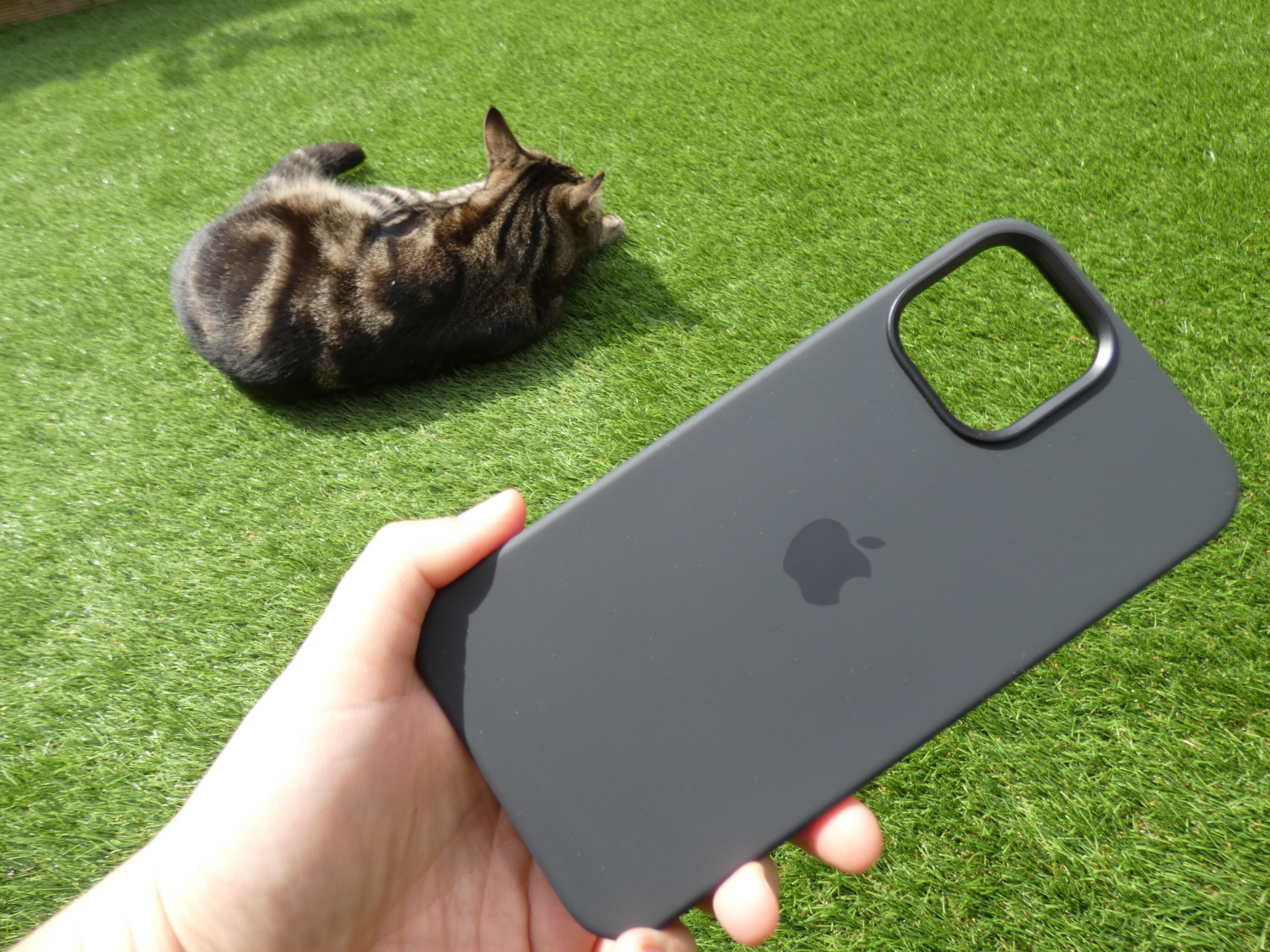 Apple Silicone MagSafe Case for iPhone 12 Pro Max with cat