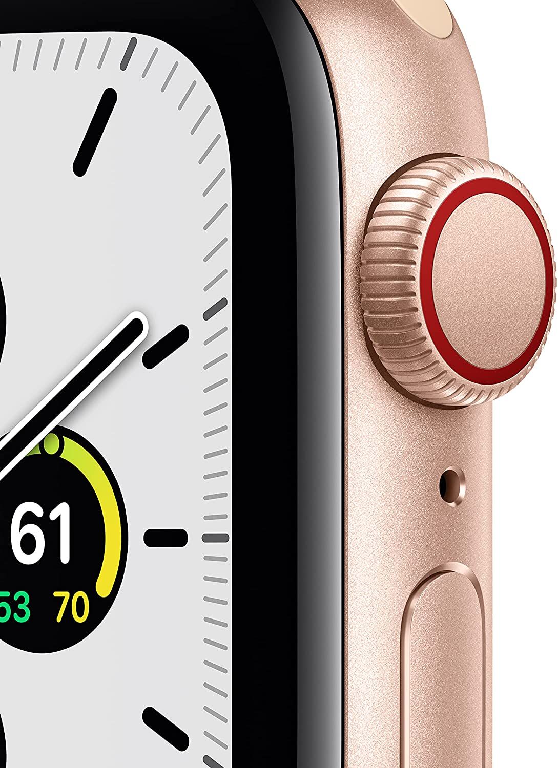 Apple Watch SE dial