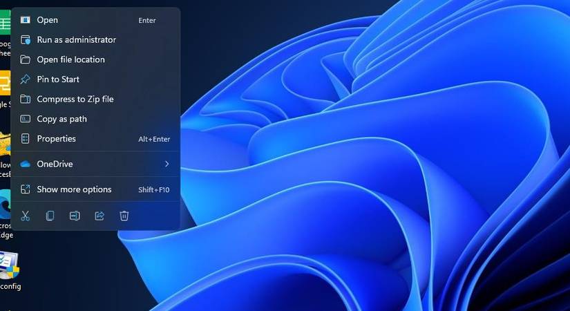 The Properties option 