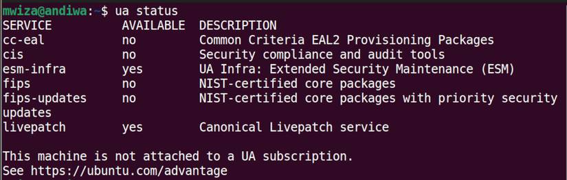 Ubuntu Status Why You Should Prefer Ubuntu LTS Over Normal Releases