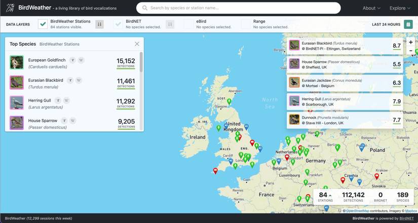 Identify Bird Sounds With BirdNET-Pi on Raspberry Pi