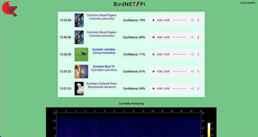 Identify Bird Sounds With BirdNET-Pi on Raspberry Pi