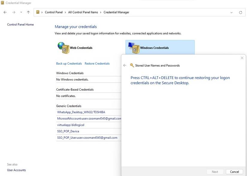 What Is the Credential Manager? How to Save Your Login Credentials in ...