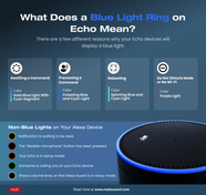 Why Does The Green Light Flash On My Echo Dot Homeminimalisite