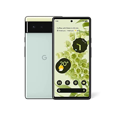 Pixel 6 Image front and rear design