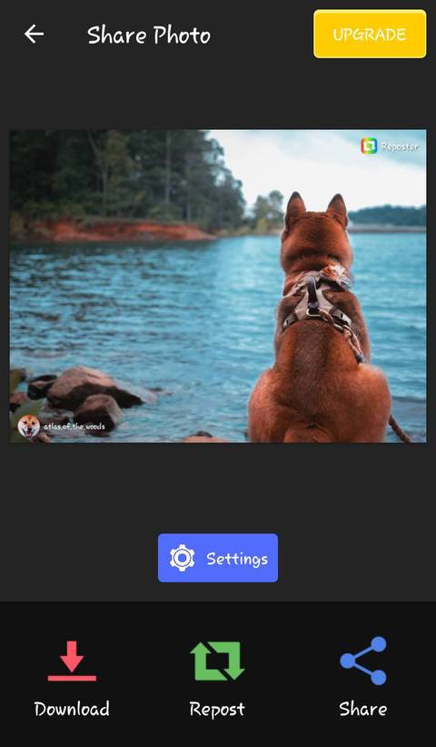 The 5 Best Instagram Repost Apps for Android and iPhone