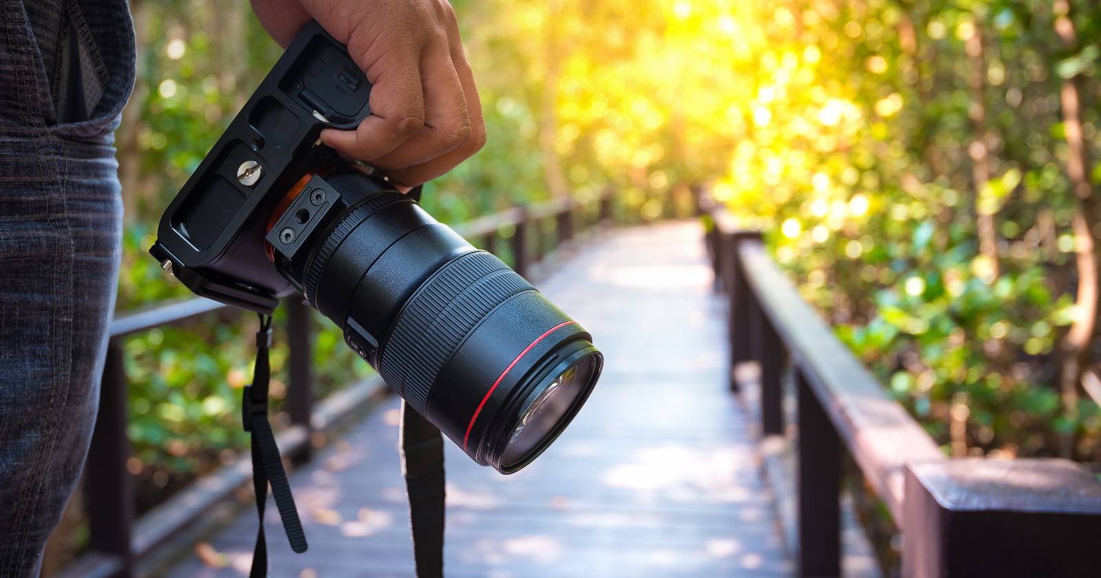 The Best DSLR Cameras