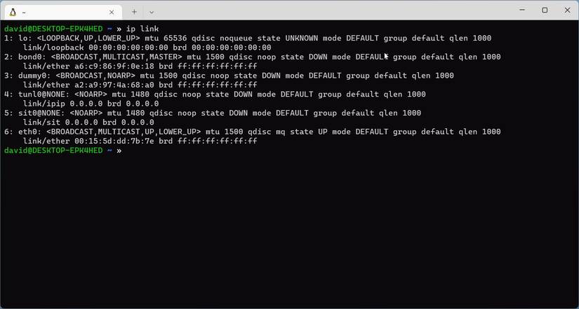Output from "ip link" command